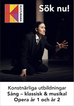 Annons Konstnärliga utbildningar